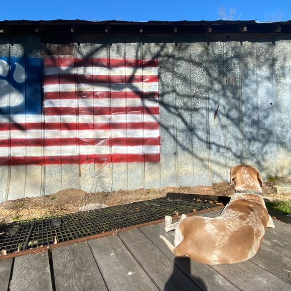 FREE SHIPPING $100+ - Picture 7 of 8